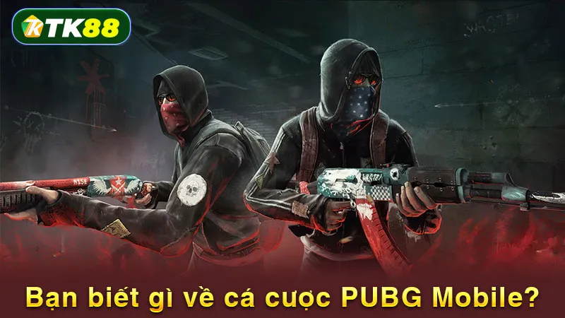 Bạn biết gì về cá cược PUBG Mobile?
