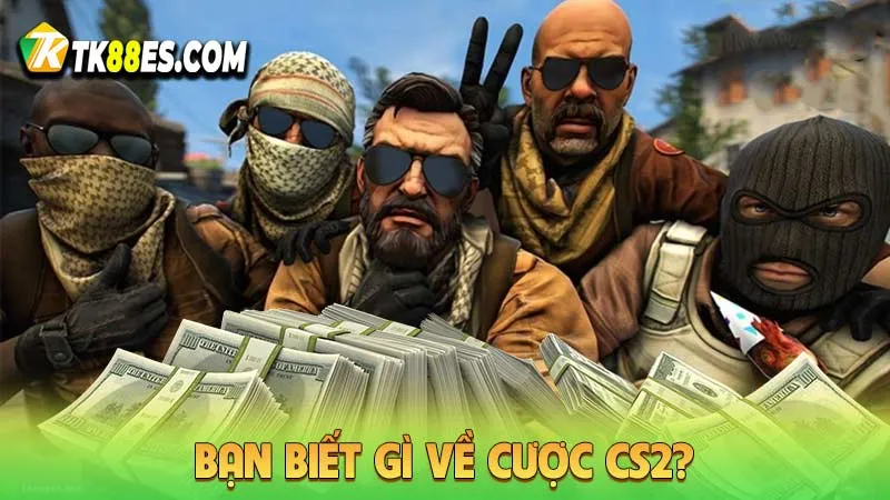 Bạn biết gì về cược CS2?