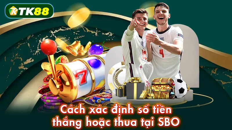 Cách xác định số tiền thắng hoặc thua tại SBO